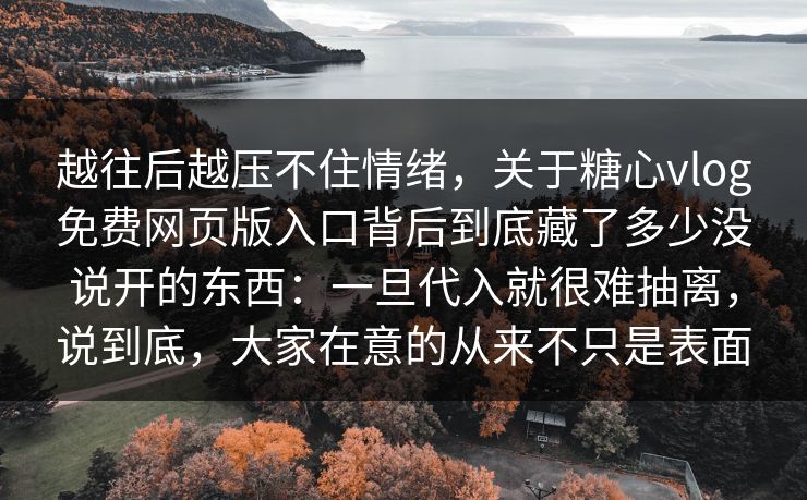 越往后越压不住情绪，关于糖心vlog免费网页版入口背后到底藏了多少没说开的东西：一旦代入就很难抽离，说到底，大家在意的从来不只是表面