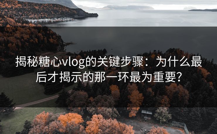 揭秘糖心vlog的关键步骤：为什么最后才揭示的那一环最为重要？