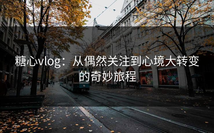 糖心vlog：从偶然关注到心境大转变的奇妙旅程
