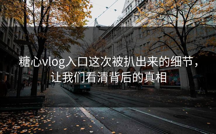 糖心vlog入口这次被扒出来的细节，让我们看清背后的真相