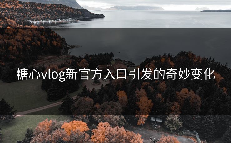 糖心vlog新官方入口引发的奇妙变化