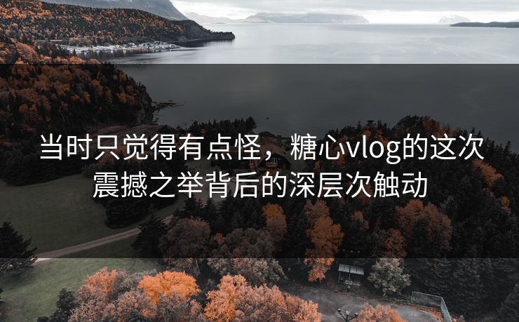 当时只觉得有点怪,糖心vlog的这次震撼之举背后的深层次触动 当时只觉得有点怪,糖心vlog的这次震撼之举背后的深层次触动
