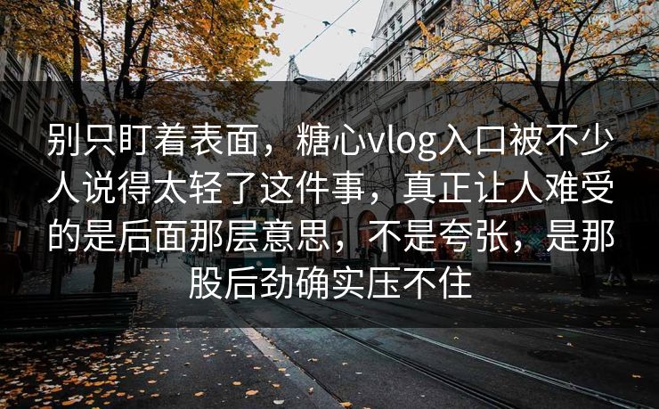 别只盯着表面，糖心vlog入口被不少人说得太轻了这件事，真正让人难受的是后面那层意思，不是夸张，是那股后劲确实压不住