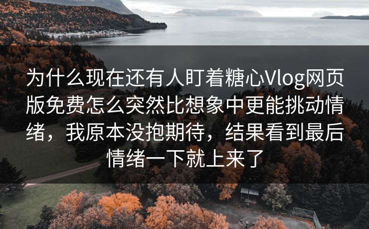 为什么现在还有人盯着糖心Vlog网页版免费怎么突然比想象中更能挑动情绪，我原本没抱期待，结果看到最后情绪一下就上来了