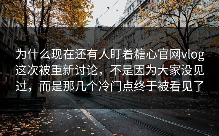 为什么现在还有人盯着糖心官网vlog这次被重新讨论，不是因为大家没见过，而是那几个冷门点终于被看见了