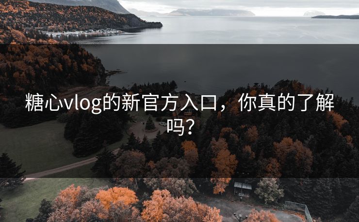 糖心vlog的新官方入口,你真的了解吗? 糖心vlog的新官方入口,你真的了解吗?