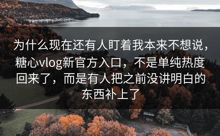 为什么现在还有人盯着我本来不想说，糖心vlog新官方入口，不是单纯热度回来了，而是有人把之前没讲明白的东西补上了