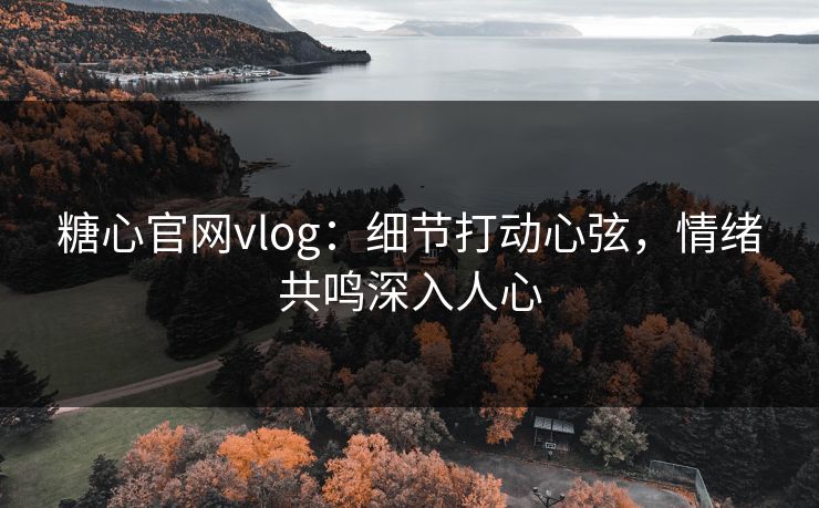 糖心官网vlog：细节打动心弦，情绪共鸣深入人心
