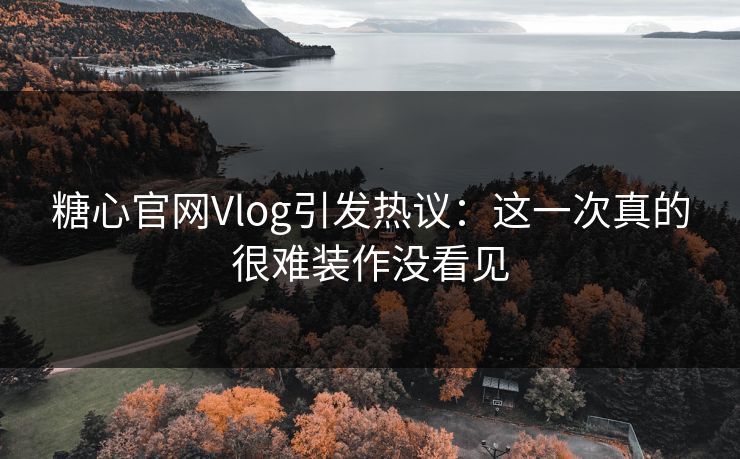 糖心官网Vlog引发热议:这一次真的很难装作没看见 糖心官网Vlog引发热议:这一次真的很难装作没看见