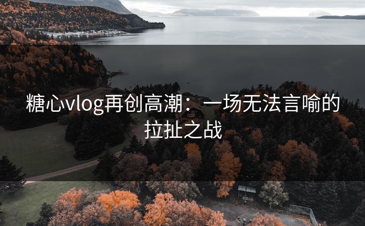 糖心vlog再创高潮:一场无法言喻的拉扯之战 糖心vlog再创高潮:一场无法言喻的拉扯之战